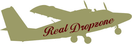 RealDropzone Logo